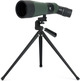 Telescopio Stampa Celestron LandScout 12-36x60 45º