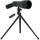 Telescopio Stampa Celestron LandScout 12-36x60 45º